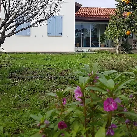Datca Daki Eviniz Nar. Villa *