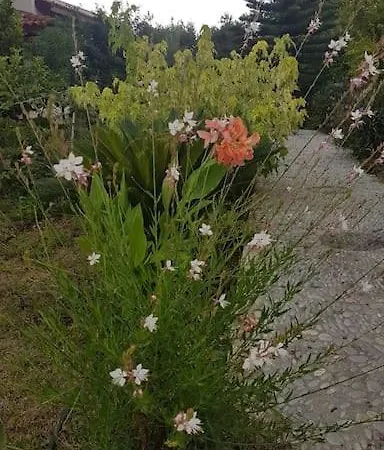 Datca Daki Eviniz Nar.