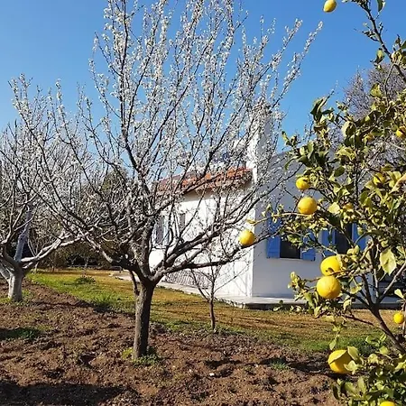 Villa Datca Daki Eviniz Nar.