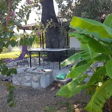 Datca Daki Eviniz Nar.