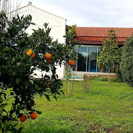 Datca Daki Eviniz Nar.