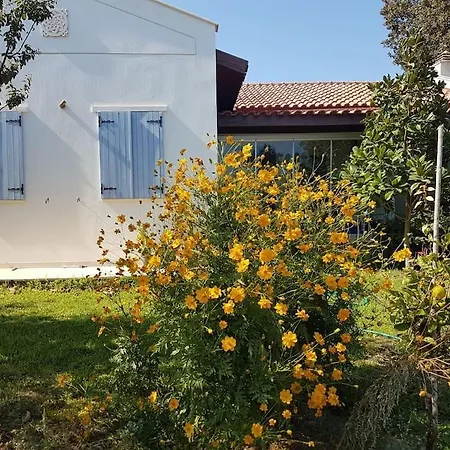 Datca Daki Eviniz Nar.