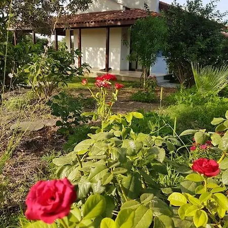Datca Daki Eviniz Nar. Villa