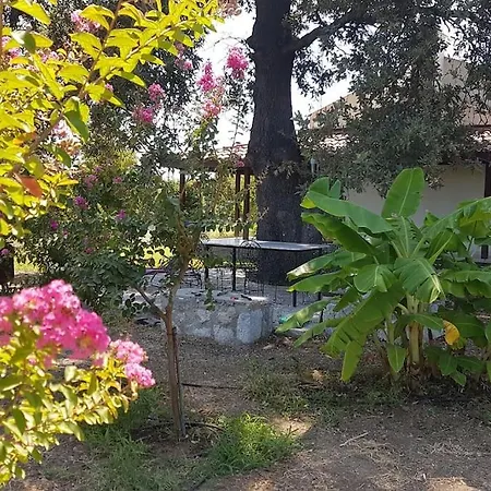 Datca Daki Eviniz Nar. Villa