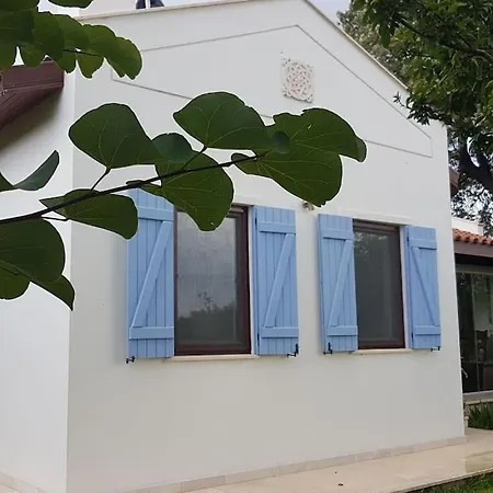 Datca Daki Eviniz Nar.